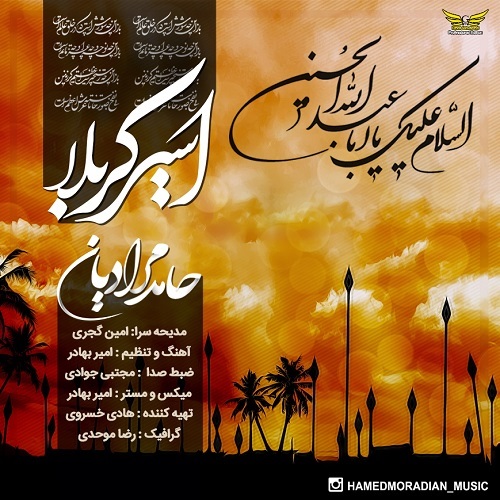 محراب عسکری اسیر کربلا